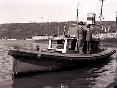 Portfolio Image