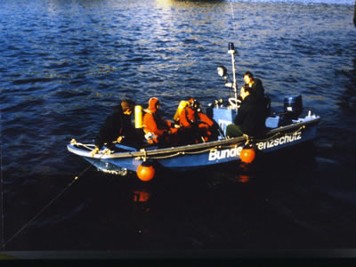 Portfolio Image